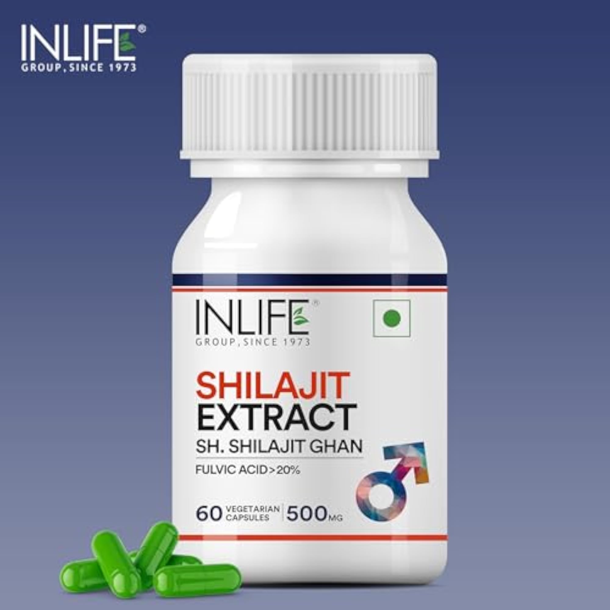 INLIFE Pure Shilajit Extract Supplement, 500mg, Strength Booster